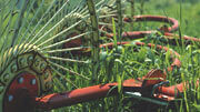 agriculture
